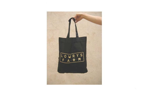 Attractive portable Reusable non woven Cloth shopping bag For exhibition
